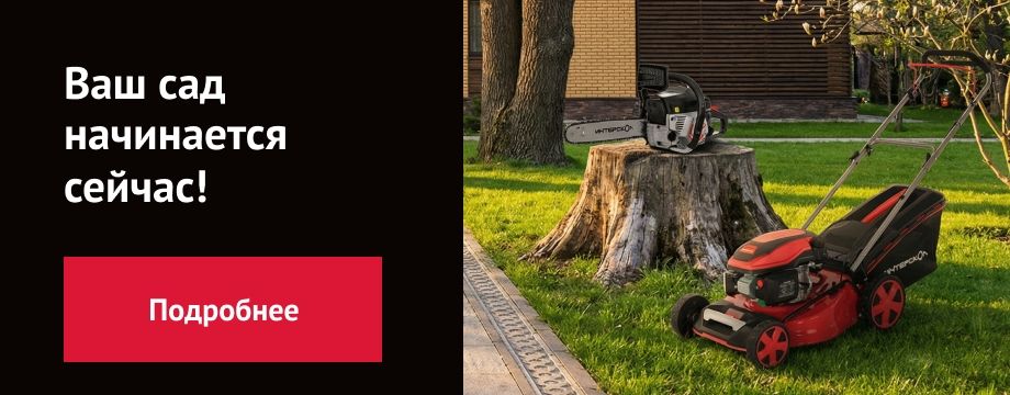 Ваш сад начинается сейчас!